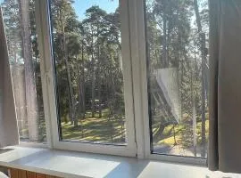 Kulautuva Park Apartments