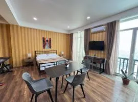 Tbilisi Airport Panorama