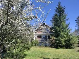 Widny Jaś zaprasza z psem nad jezioro na Kaszubach