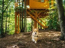 Treehouse Vtáčikovo