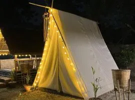 Canopy Haven