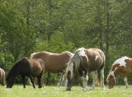 Ferienhof Röhling zwischen Schlei und Ostsee