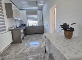Paul's Houses