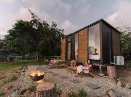 Rainforest Sunsets by Tiny Away