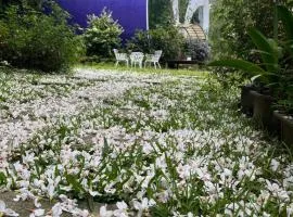 Maison-Philo Homestay B & B