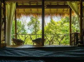 Kactus - Your Island Sanctuary