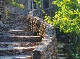 Le Paillot Cevenole house with view and fireplace