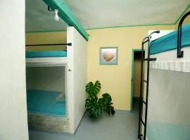 Funkey Moneky Hiriketiya