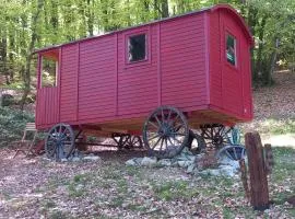 Roulotte Western