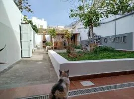 Susa and Pepe garden and house