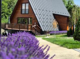 Twin Cabins / Cabanele Gemene, hotel din Suceava