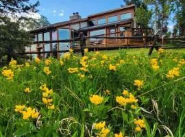 Fairplay Coyote Cabin