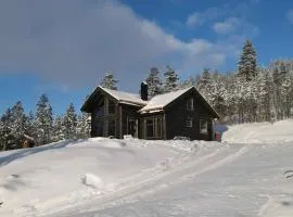 Brand-new cabin for rent at Lemonsjøen