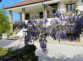 Casa Raíz y Cumbre