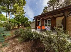 Lacanau Océan avec jardin