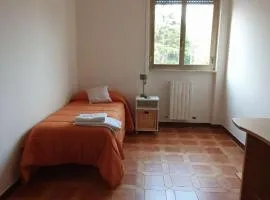 Cozy Apartment in Town
