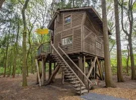 Boomhut Drouwenerzand