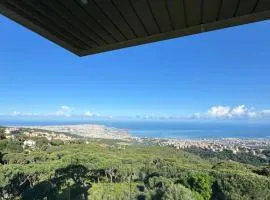 Brummana Views