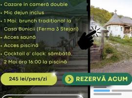 Mercure Medias Binderbubi Hotel And Spa, hotelli kohteessa Mediaş