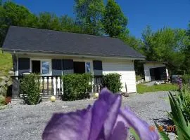 Petit chalet vue sur le montagne