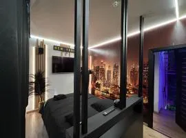 Chambre business-romantique, jacuzzi, billard