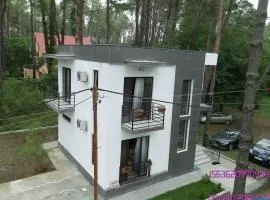 SHEKVETILI s