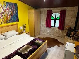 The Oasis Healing Resort