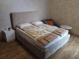 Apartment Moni 3