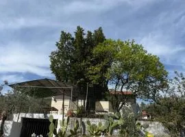 La casa nel verde