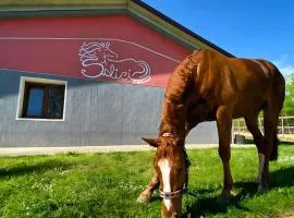 Casa Vacanze Centro ippico i Salici