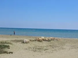 LARNACA Beach house 24