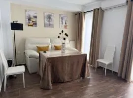 Apartamentos ARACENA CENTER