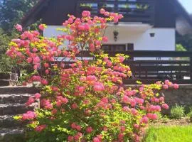 Pension Renata