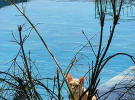 Boutique Home Saltaragazza