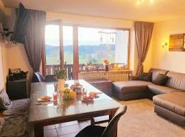 Alp-Juwel - mit Hallenbad und Sauna, 4 Schlafbereiche, Hallenbad, Sauna, inklusive Bettwäsche, Handtücher, tolle Kinderausstattung