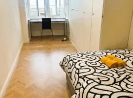 3 Room Old Town Large Flat - Munster