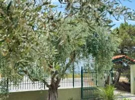 Άνεμος Home 2