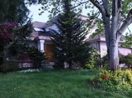 7Bedroom Beautiful and spacious home