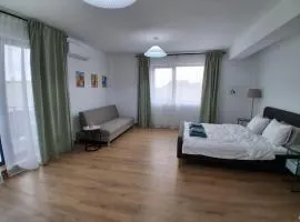 Uniria Studio Balotești near Therme and Airport Free Private Parking, Balcony, Netflix