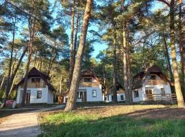 Domki nad Wierną Rzeką