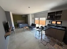 Deluxe Suite with Terrace