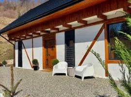 The White House Tripsylvania