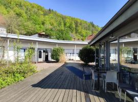 Arena Hotel Waldshut، فندق في فالدزهوت-تينغن