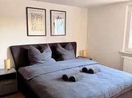 Urban Nest Apartment Lahr - Schwarzwald