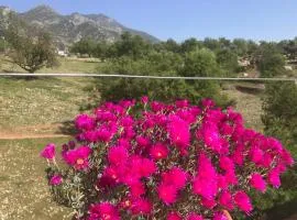La cala 6