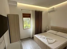 Visi Villa Berat