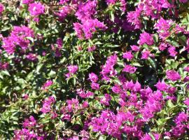 Azienda Agrituristica Biologica Il Querceto