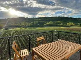 Agro Lux Apartment - Milenović