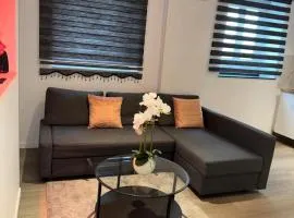 Chic Design and Modern Comfort - 1BR with Sofa Bed