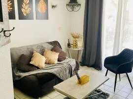 L Ecrin des sources pour 4 pers, proche des Thermes, piscine, terrasse